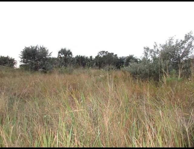 LAND FOR SALE IN OSLO BEACH